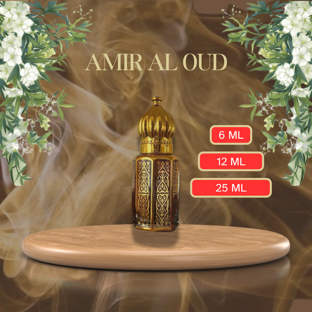 Amir Al Oud